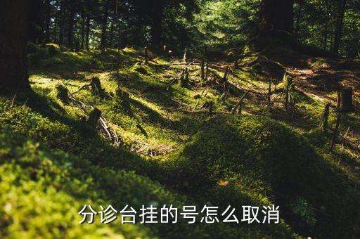 分診臺，分診臺掛的號怎么取消...